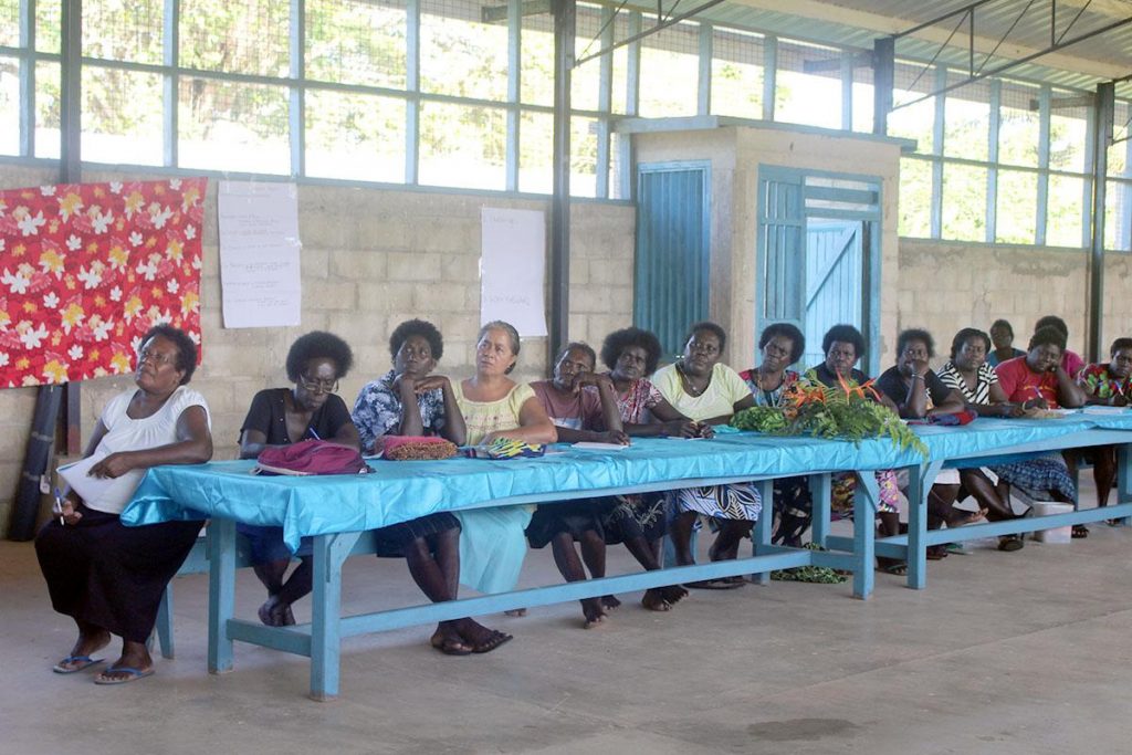 Western Province Council of Women connects to Shortland with new ward council 3 The consultation was an opportunity to reach women to be fully inclusive and note areas they might overlook in the constitution and the strategic plan design.