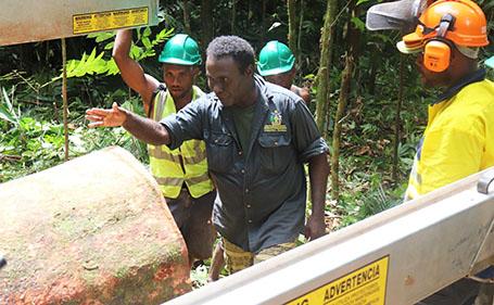 Sawmill operators gets hands-on experience 1 1 7