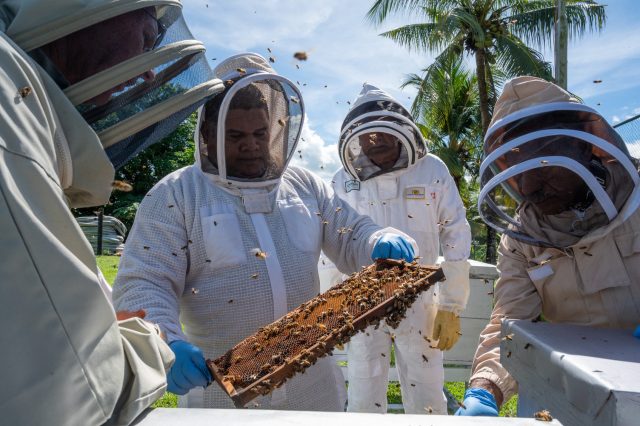 beekeepers